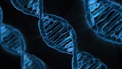 UK set to lead in genetic research