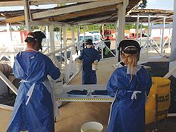 PHE scales back Ebola screening 