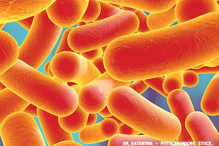 Clostridium difficile guidelines updated