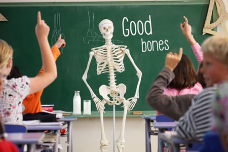 Skeletons for schools in bid to raise bone health awareness