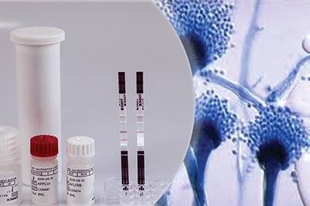 Simplify diagnosis of invasive aspergillosis