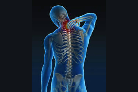 £1.25 million awarded to pioneering musculoskeletal disorder innovations