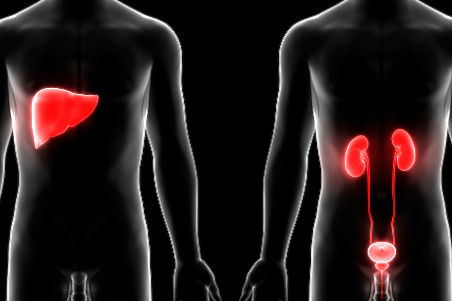  New liver and kidney disease identified