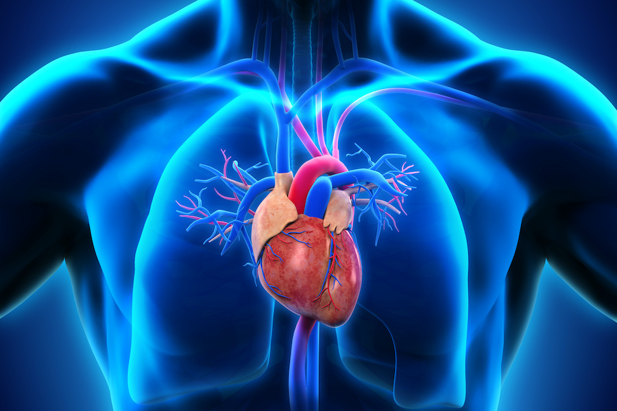 Use of magnets in cardiology explored by robotics engineers