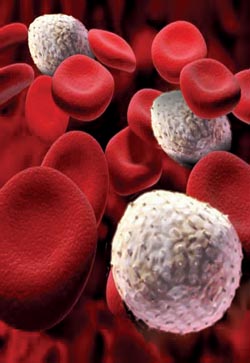 Promising method of growing blood cells in the lab