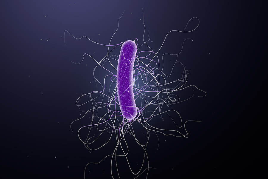 NICE recommends FMT to resolve recurrent C. difficile