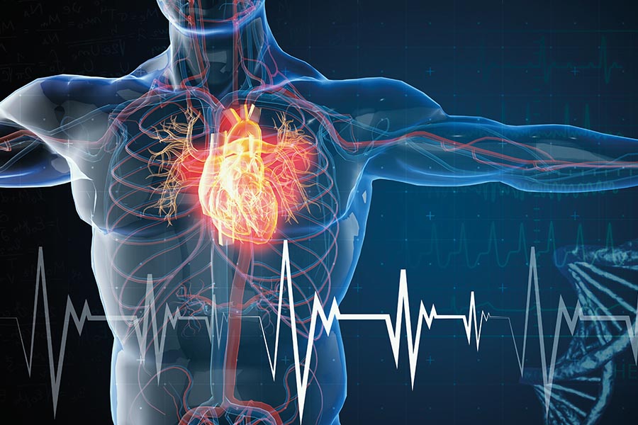 Vascular care: the heart of the matter