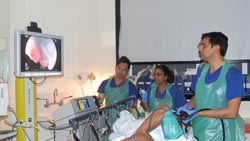 Endoscopy teams: training highlighted