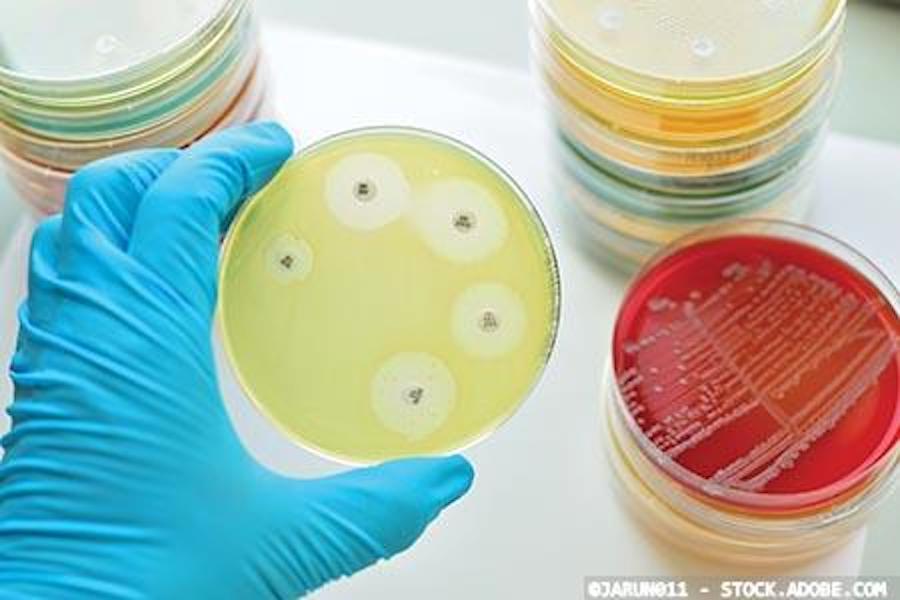 Antibiotic consumption and resistance ‘two-way street’ between animals and humans