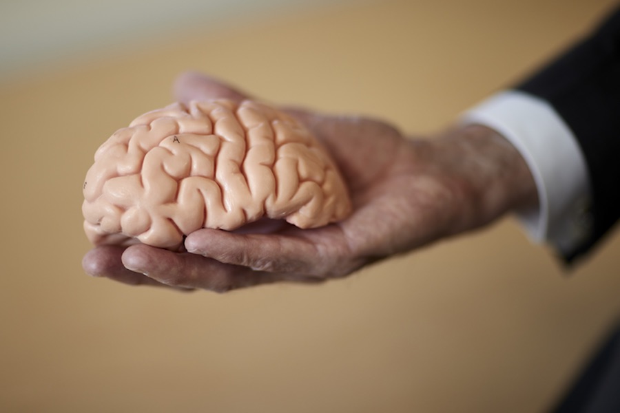 Gut health may influence likelihood of developing Alzheimer’s