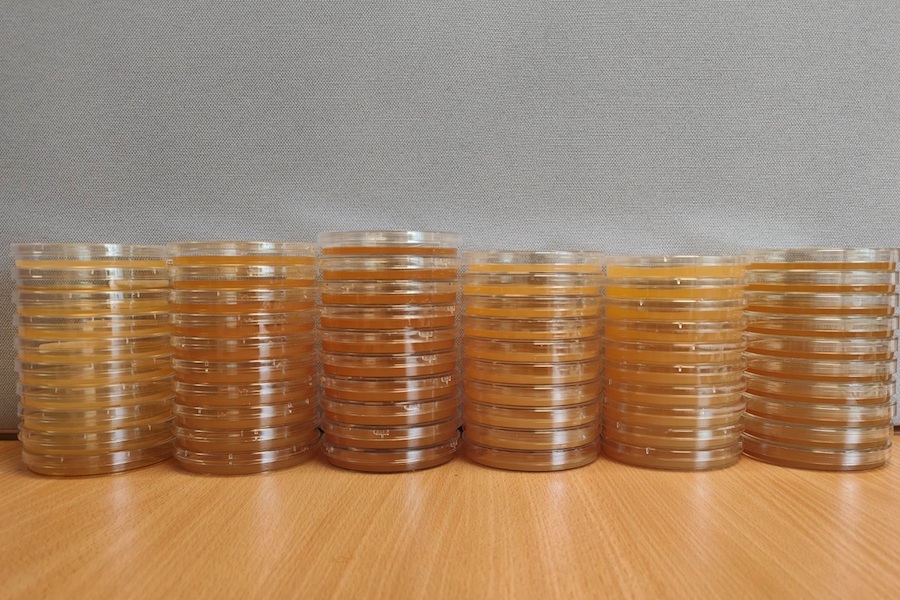 New study on microbial air sampling accuracy finds Petri dish dimensions can impact results