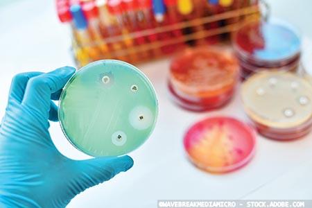 UKHSA warns of increase in antibiotic resistant infection
