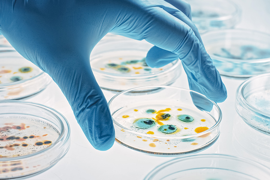 Inspiring excellence in infection prevention
