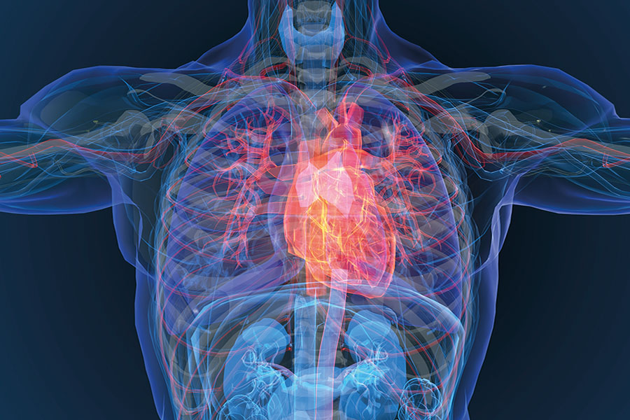 Transforming heart failure diagnosis: a call to action 